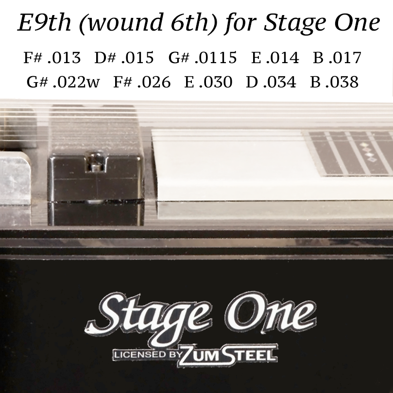 GHS  - Bobby Lee Signature Series - E9th Stainless Steel - Pedal Steel 10-String Set (11.5-38)