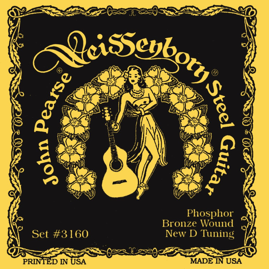 John Pearse D Phosphor Bronze Strings (Light) Weissenborn Series - Slide Steel 6-String Set (15-60) - #3160