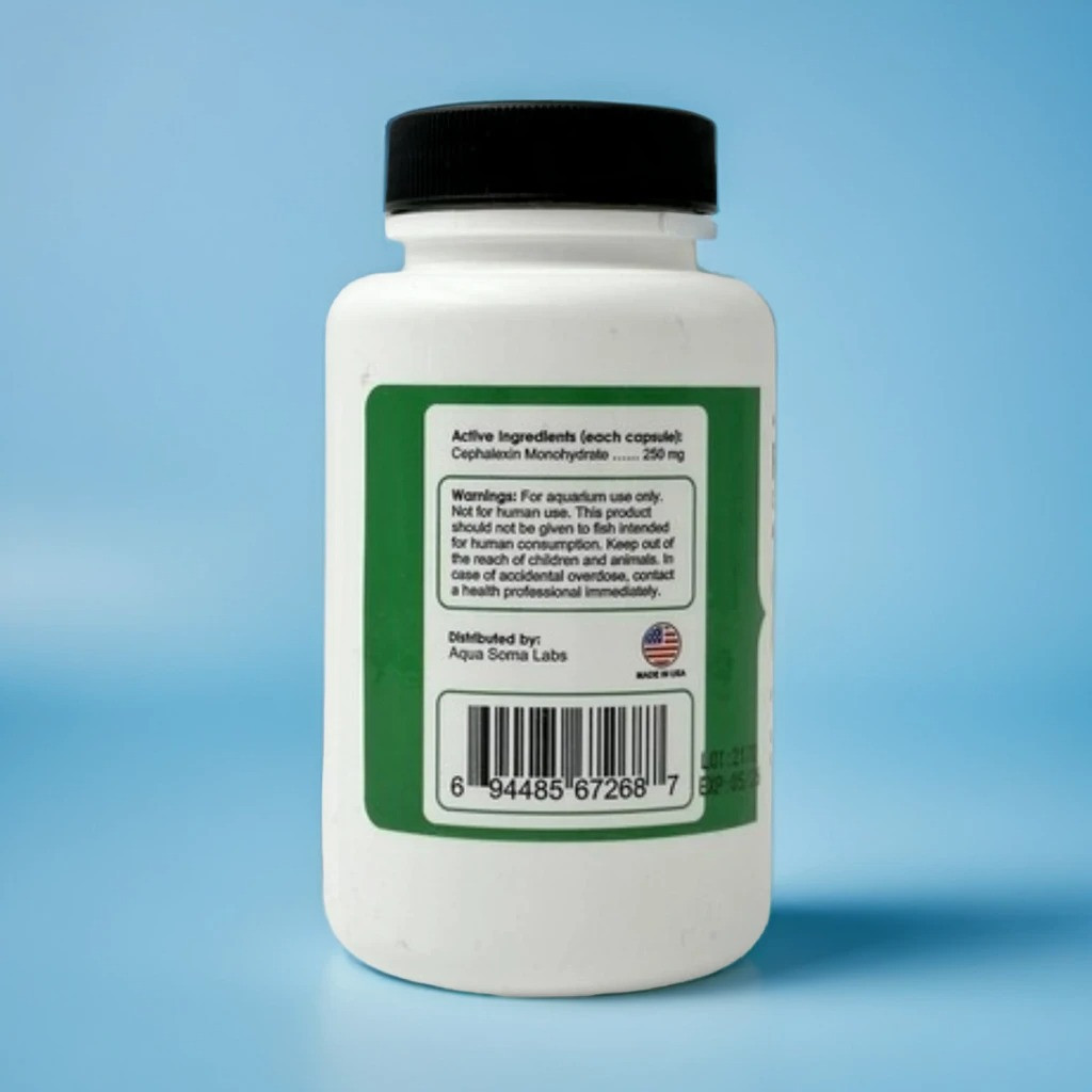 Fish Flex Cephalexin 250mg – Broad Aquarium Antibiotic