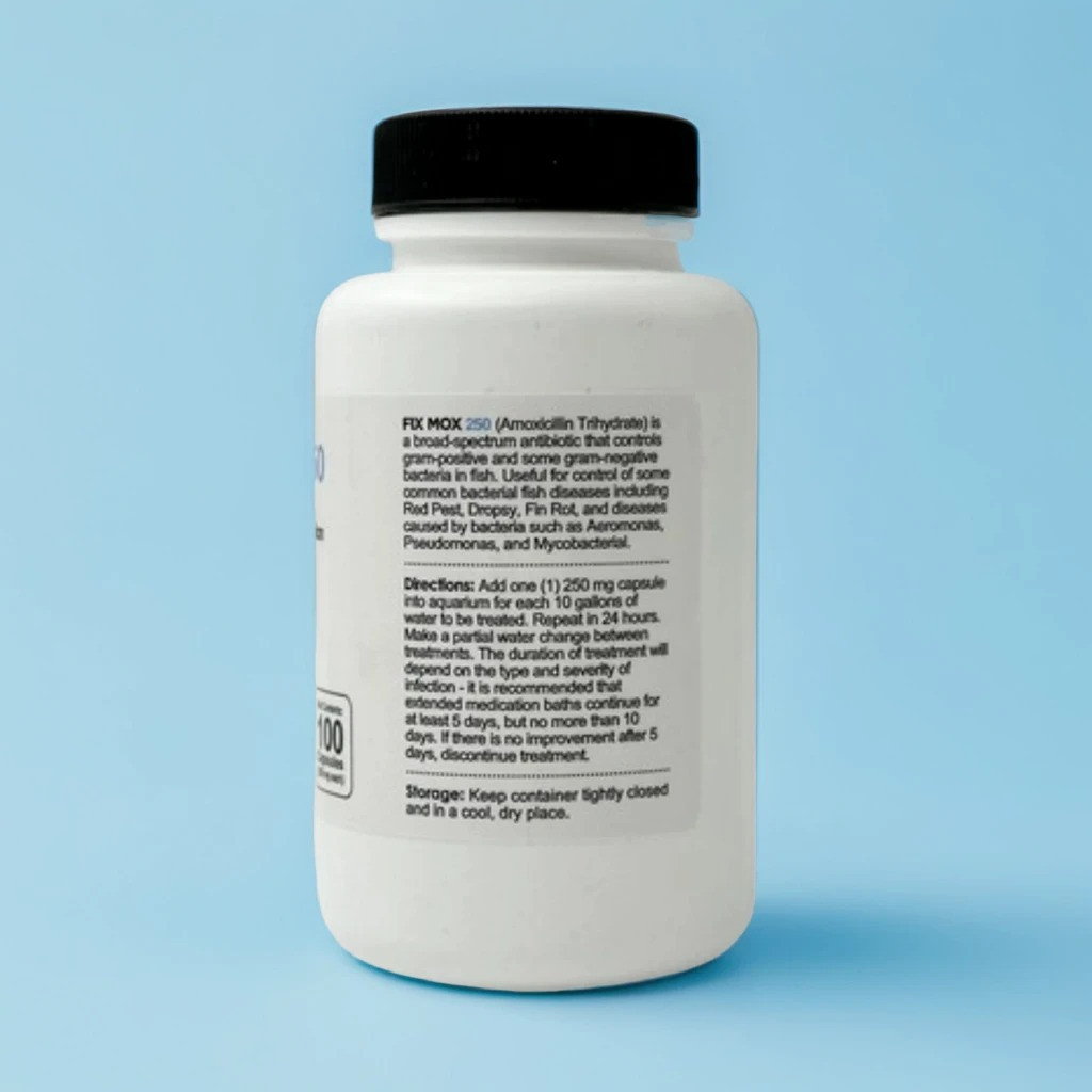 Fish Mox Amoxicillin - 250mg 30 Count | Fish Antibiotics