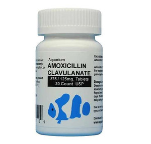 Fish Amoxicillin Clavulanate 875mg/125mg - 30 tablets Fish Amoxicillin Clavulanate 875mg/125mg - 30 tablets