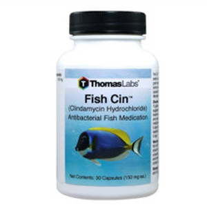Thomas labs Fish Cin Clindamycin 150mg Capsules (100 Count) Thomas labs Fish Cin Clindamycin 150mg Capsules (100 Count)