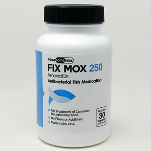 Fish mox - 250 mg 30 capsules Fish mox - 250 mg 30 capsules