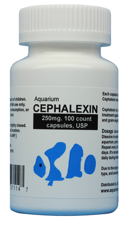 fish flex cephalexin 250mg- 100 capsules