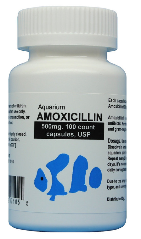 fish mox forte amoxicillin 500mg - 100 Count