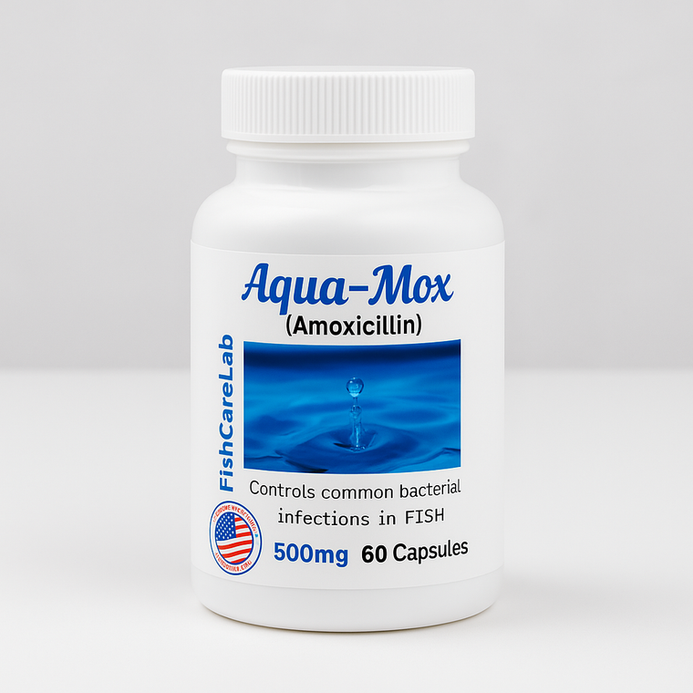 Aqua Mox Amoxicillin 500mg – 60 Capsules Aqua Mox Amoxicillin 500mg – 60 Capsules