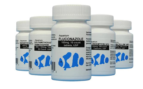  Aquarium Fish Antibiotics