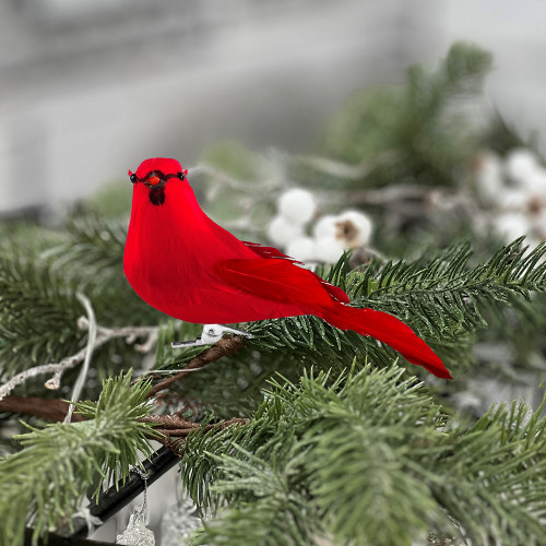 Clip-On Cardinal