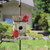 Cardinals on a Hanging Birdhouse