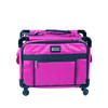 17" Pink  Small  Carry on