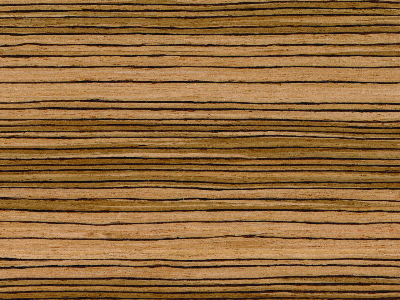 Zebrano Echo Wood Veneer Qtr ZB011S Boards Oakwood Veneer