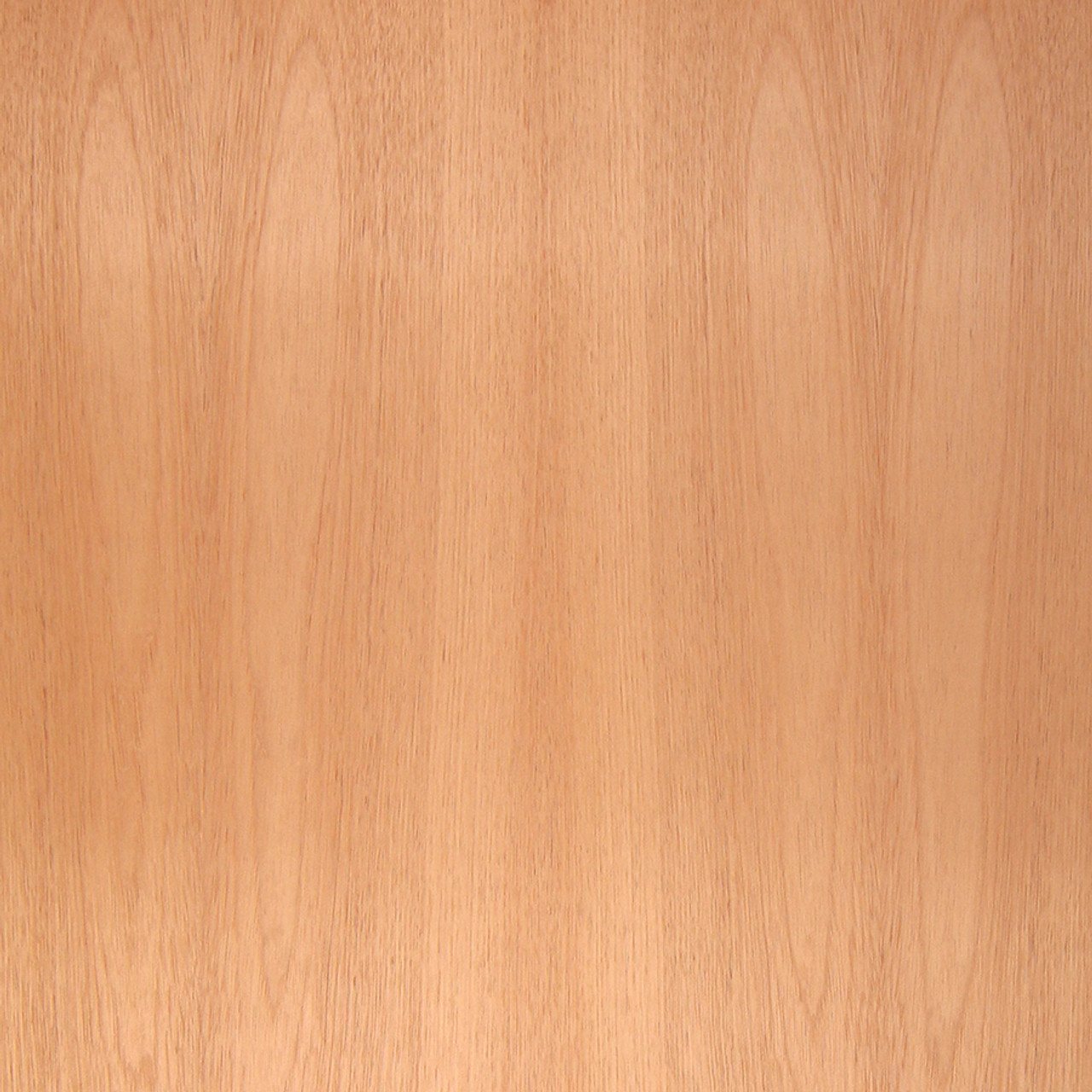 Cedar Veneer Spanish Exotic Wood Veneers Sheets Humidor Oakwood Veneer Company