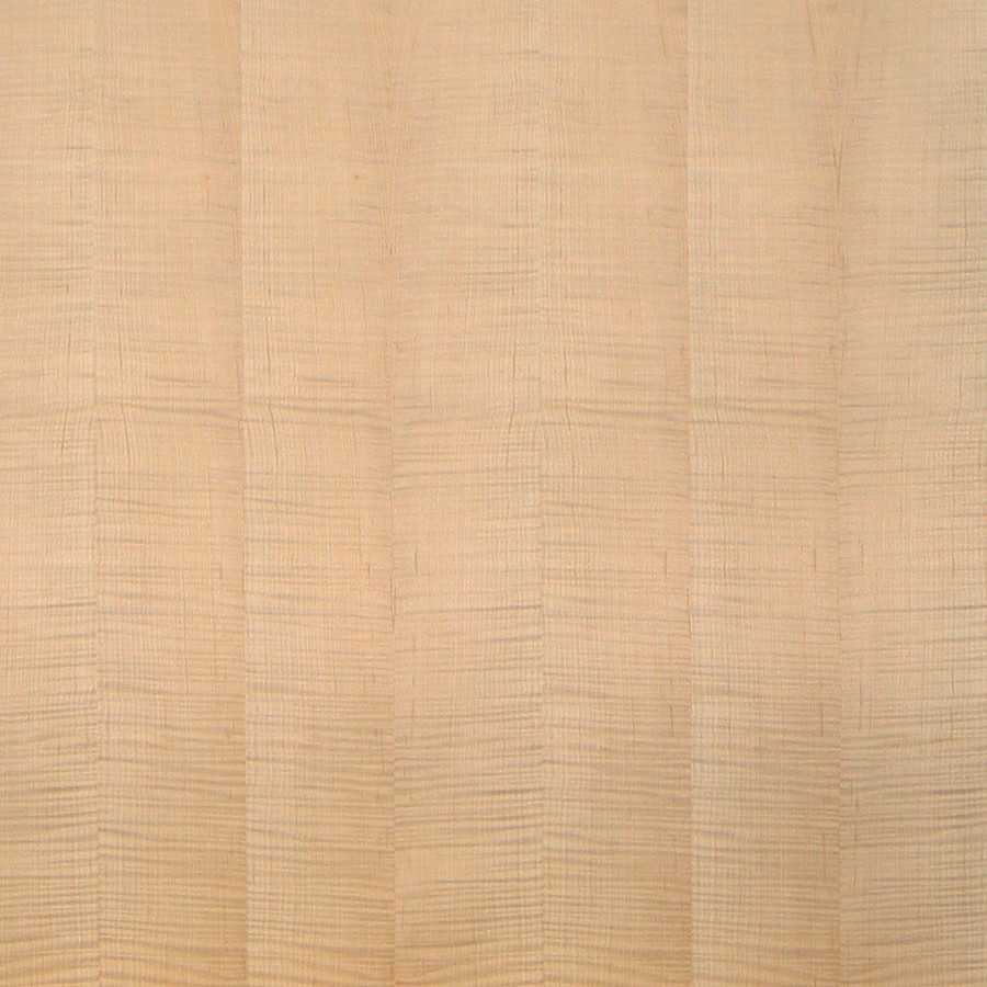 Tiger Maple Veneer | Medium Figured Soft Fiddleback Maple Veneers