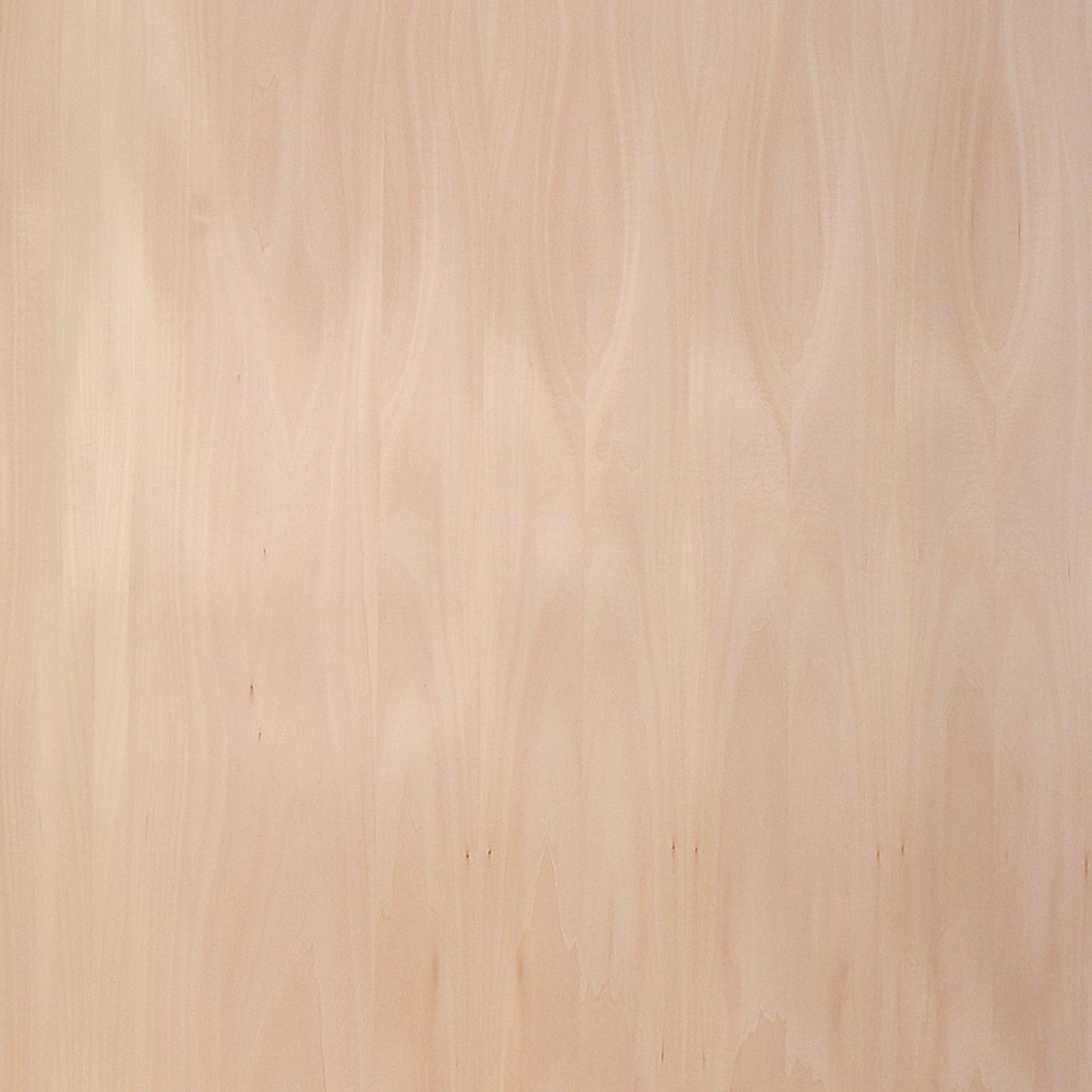 Basswood Veneer - Premium