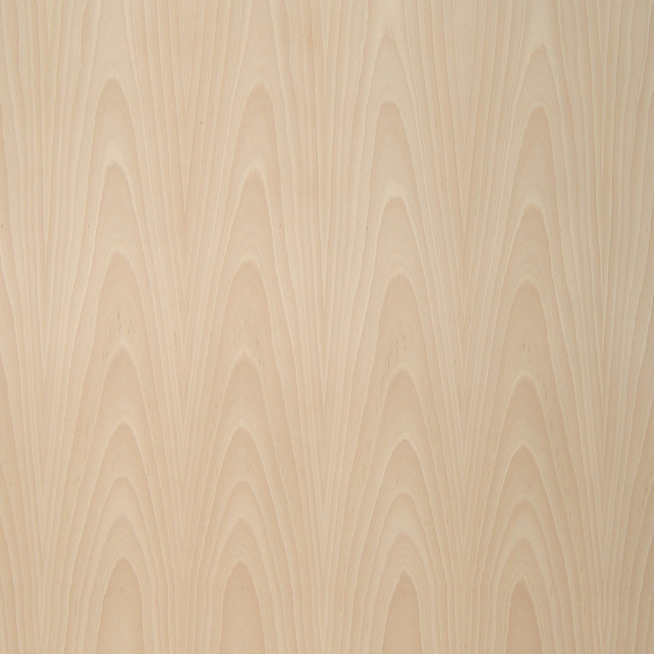 Beech Veneer Unsteamed Yellow Flat Cut American Beech Wood Veneers Oakwood Veneer Company