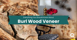Everything You Should Know About Burl Wood Veneer