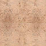 What is Maple Burl Wood