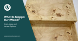 What Is Mappa Burl Wood? Grain, Uses, and Veneer Options