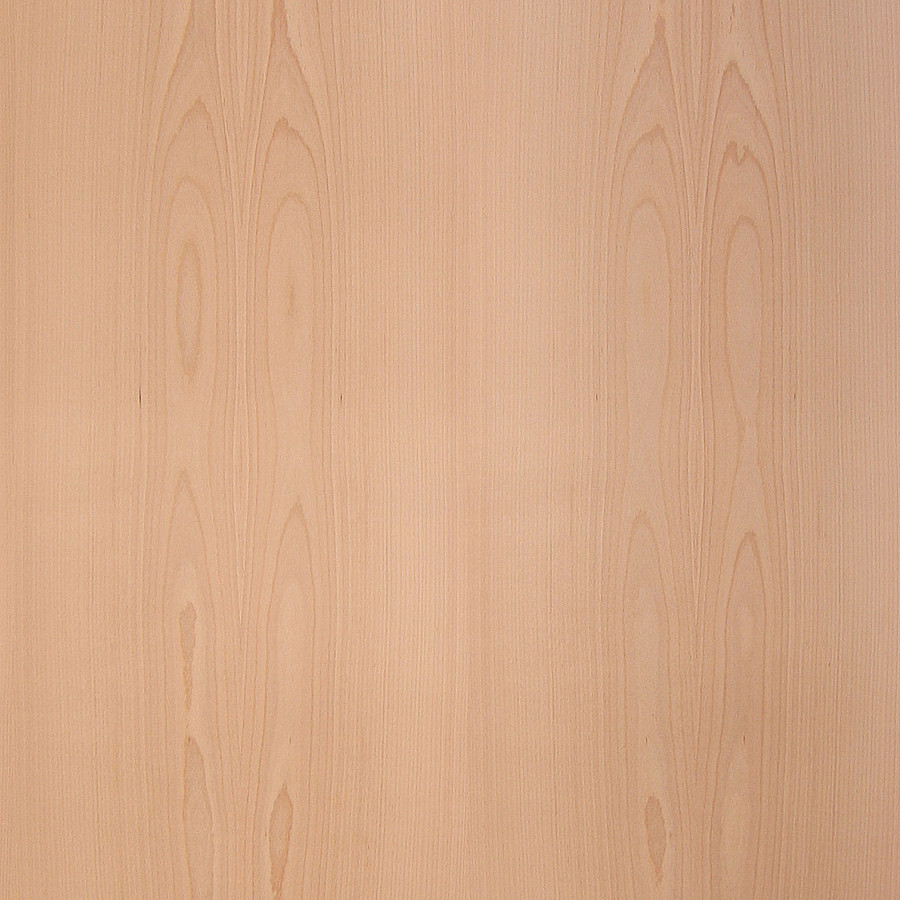 American Beech Wood Veneer Boards Natural Flat Cut American Beech