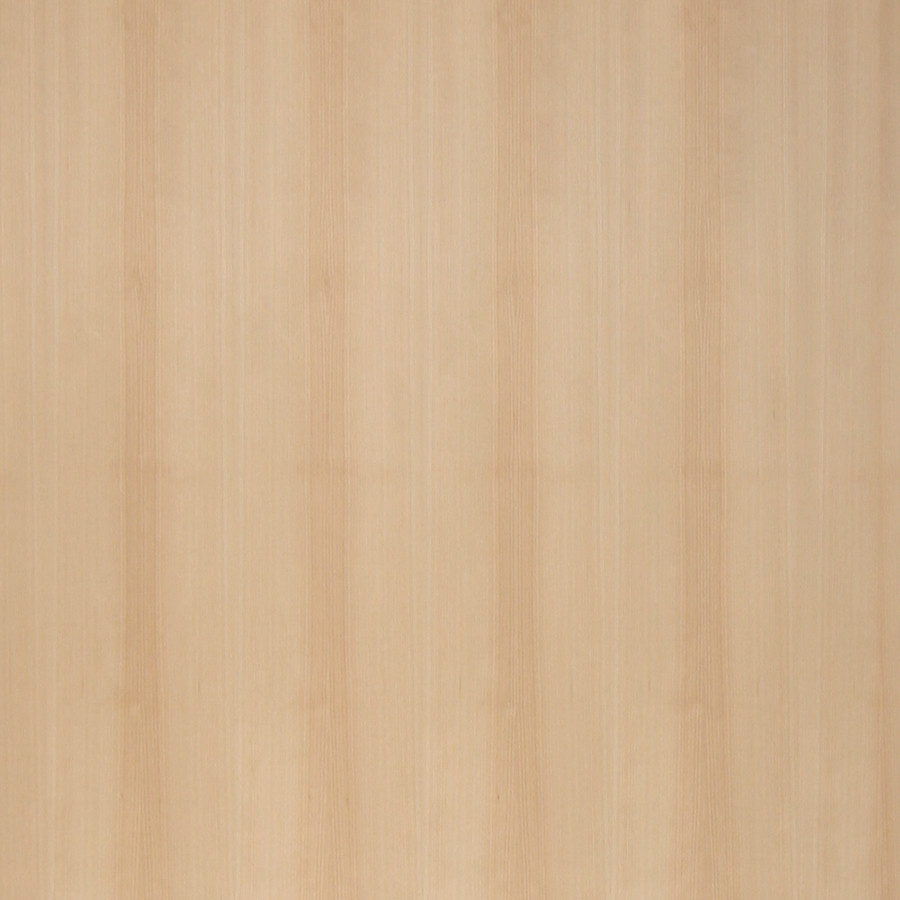 Birch Veneer White Quartered White Birch Quarter Sawn Wood Veneers