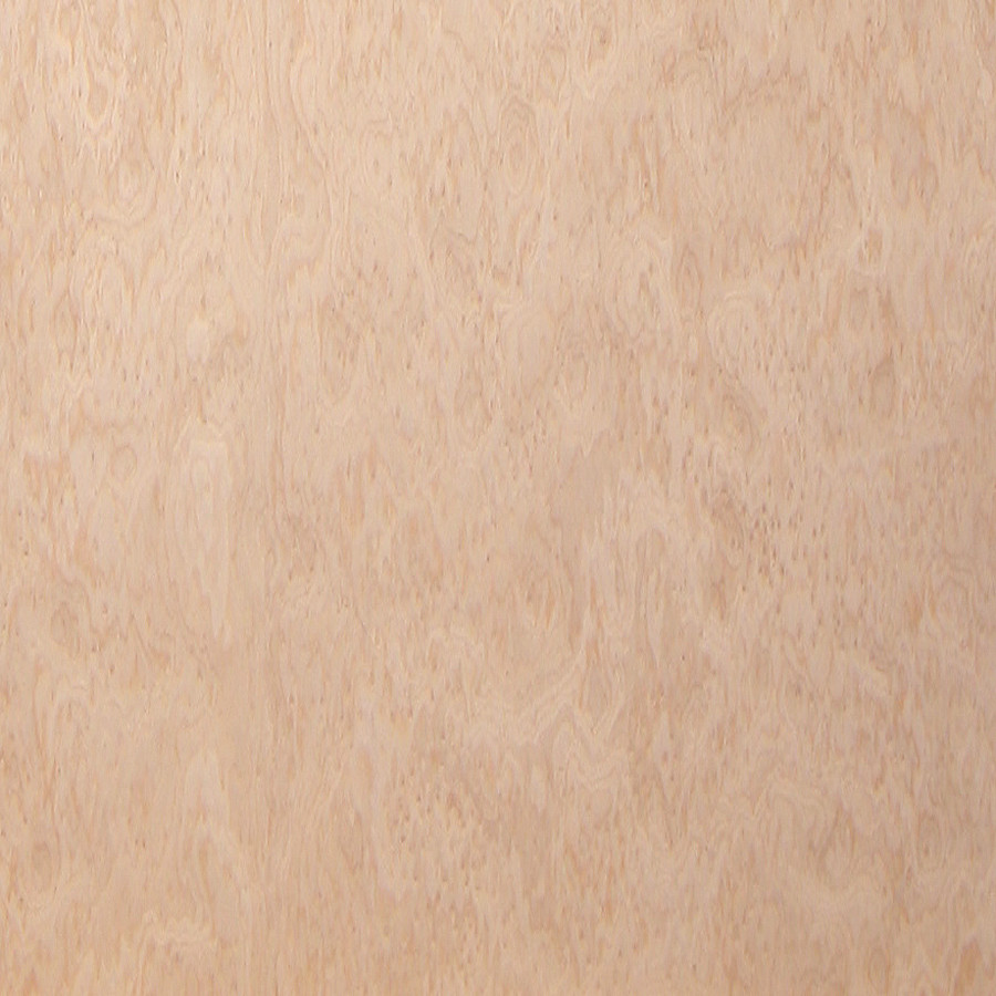 Maple Veneer Medium Tone Italian Birdseye Wood Maple Veneers Sheets