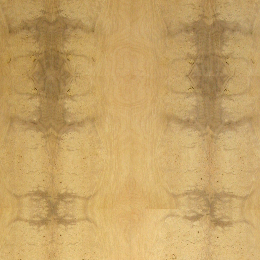 Myrtle Burl Veneer Medium Figure Exotic Burl Veneers Sheets