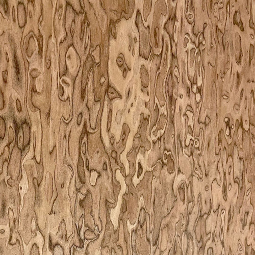 East Indian Italian Walnut Burl
