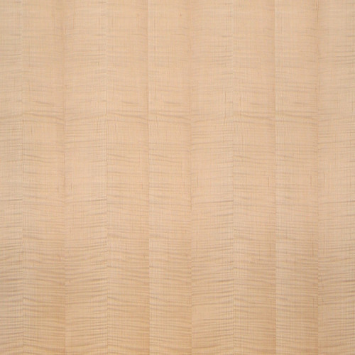 Maple Veneer - Fiddleback Highly Figured