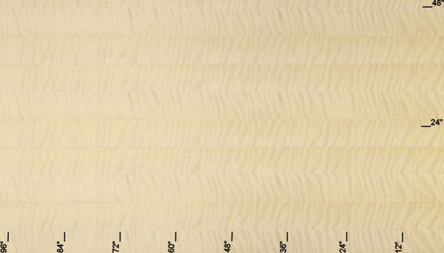 Premium Figure Fiddleback Tiger Maple Veneer