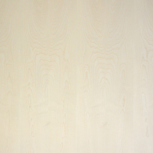 Sycamore Veneer - English Flat Cut No Figure