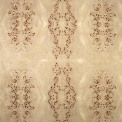 French Burl wood veneer panel with contrasting natural tones and intricate burl grain