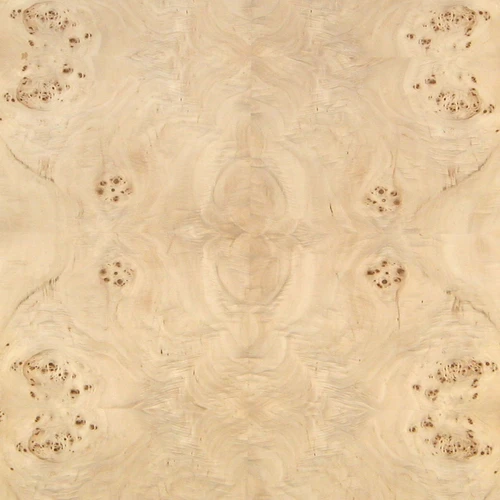 Low Figure Mappa Burl veneer panel with flowing grain and natural tan coloring
