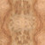 Elm Veneer - Carpathian Burl Medium Figure Panels