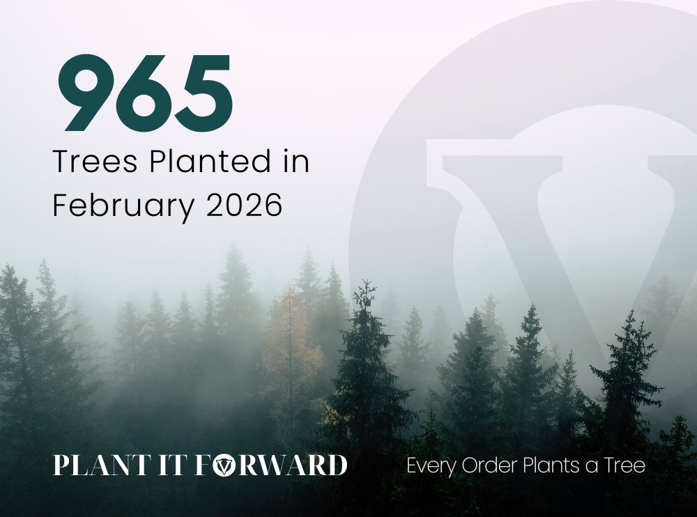 A person in denim and green boots plants a small tree. Text reads "833 trees planted in November! Plant It Forward. Every Order Plants a Tree."