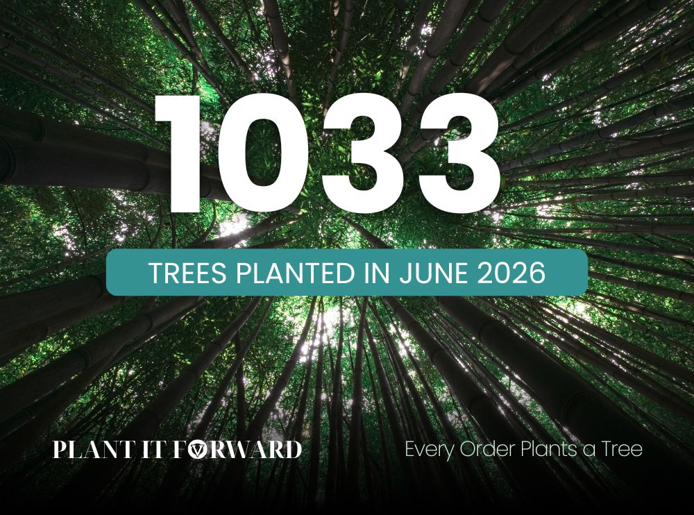 A person in denim and green boots plants a small tree. Text reads "833 trees planted in November! Plant It Forward. Every Order Plants a Tree."