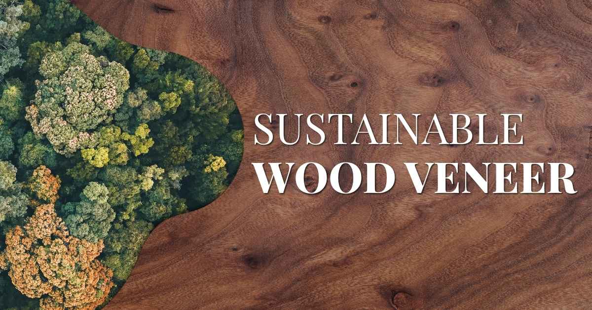 Image showcasing Mint Pest Services Introduces Family-Safe, Eco-Friendly Pest Control ...