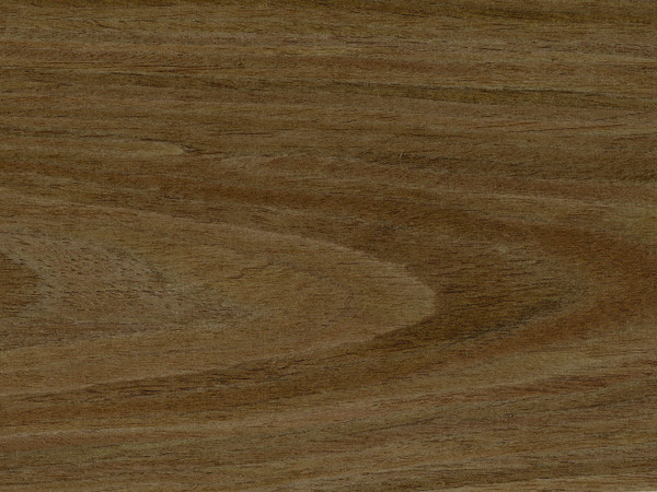 Coated_WT-3160C__33184.