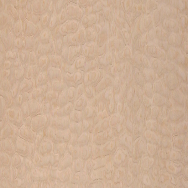 Maple Veneer | Quilted Italian Premium Boards | Maple Veneer