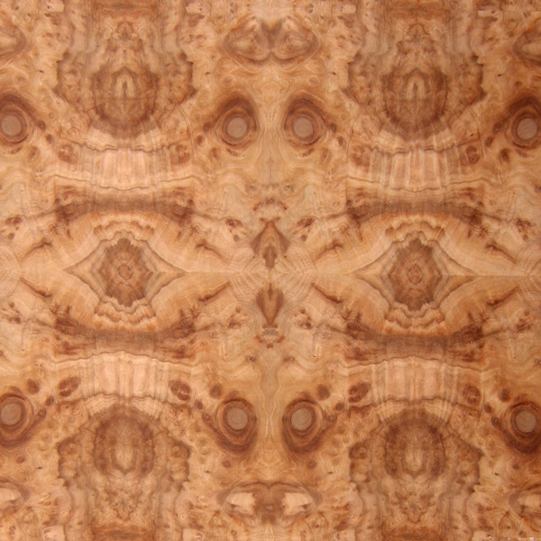 Camphorwood Burl Veneer Medium Figure Exotic Camphor Wood Veneers