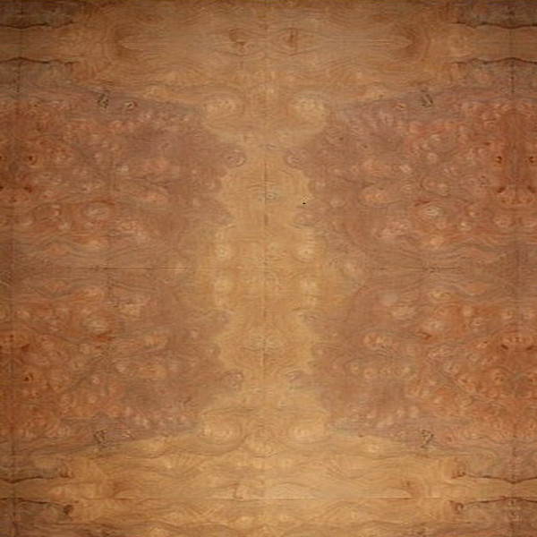 Robel Burl Veneer Exotic Wood Veneers Sheets Oakwood Veneer Company