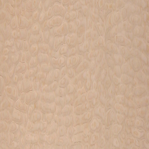 Maple Veneer Italian Quilted | Maple Wood Veneers Sheets | Oakwood ...