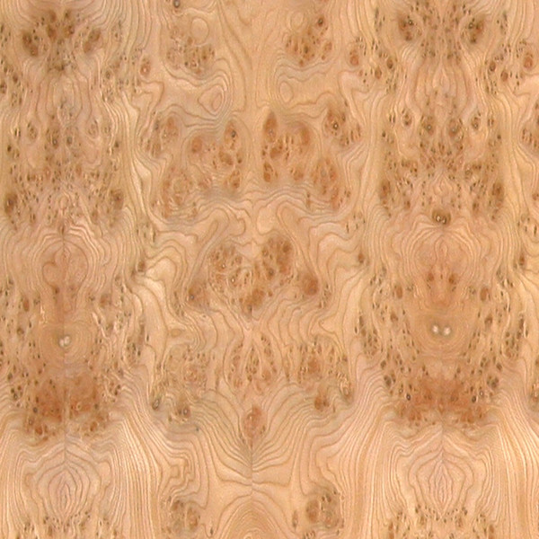 Carpathian Elm Burl Veneer High Figure Exotic Burl Veneers Panels