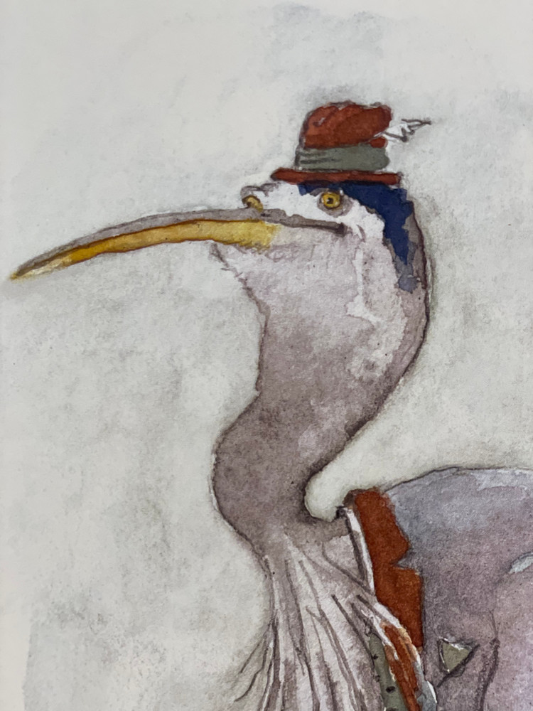 Closeup ‘Horace the Great Blue Heron’ 8x10” Print