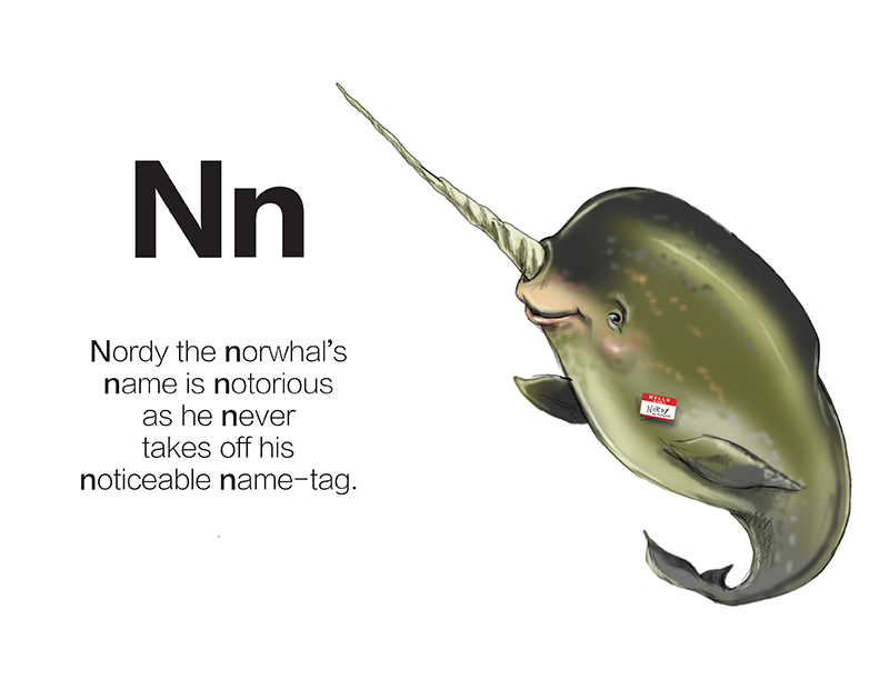 The North American Animal ABC Book | Picture Book