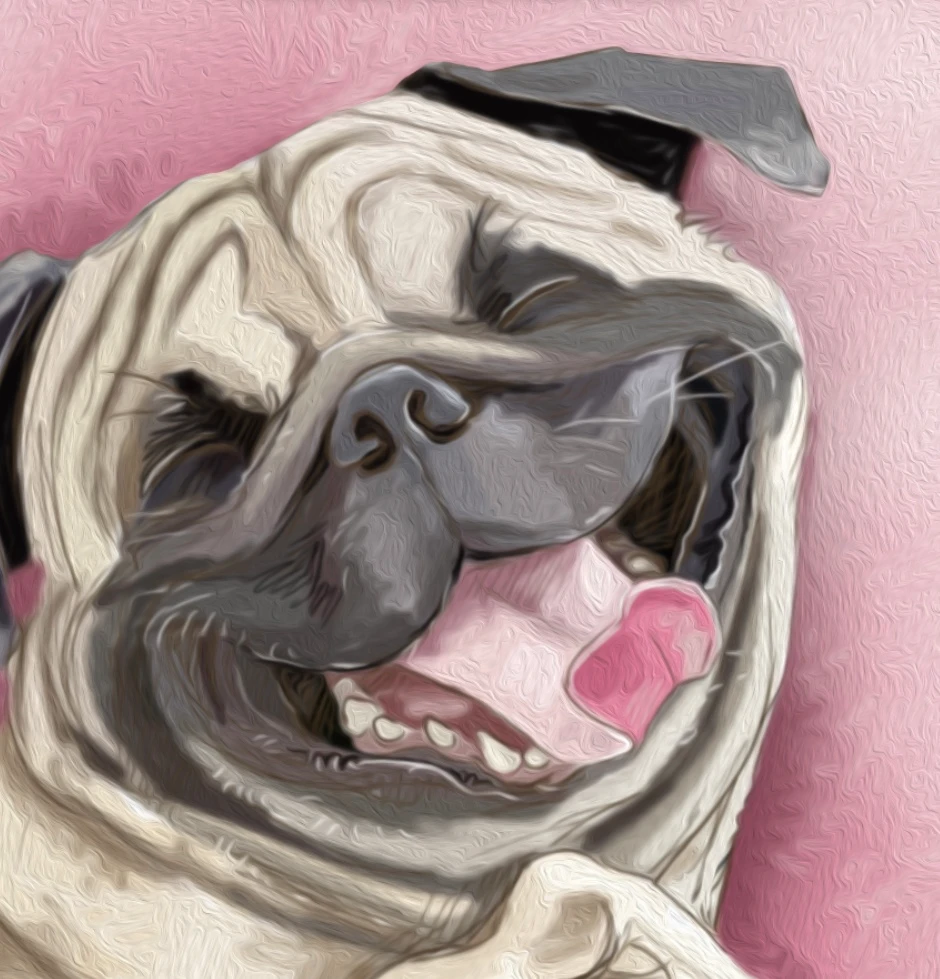 Laughing Pug / The Artwork