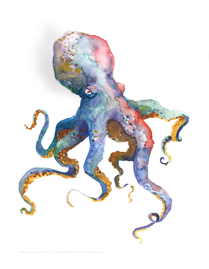 Octopus / Art Print