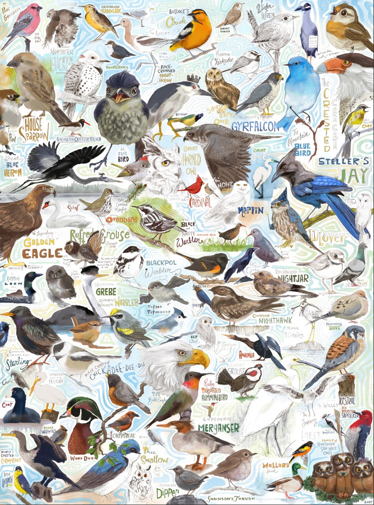Birdie’s Birds | The Artwork