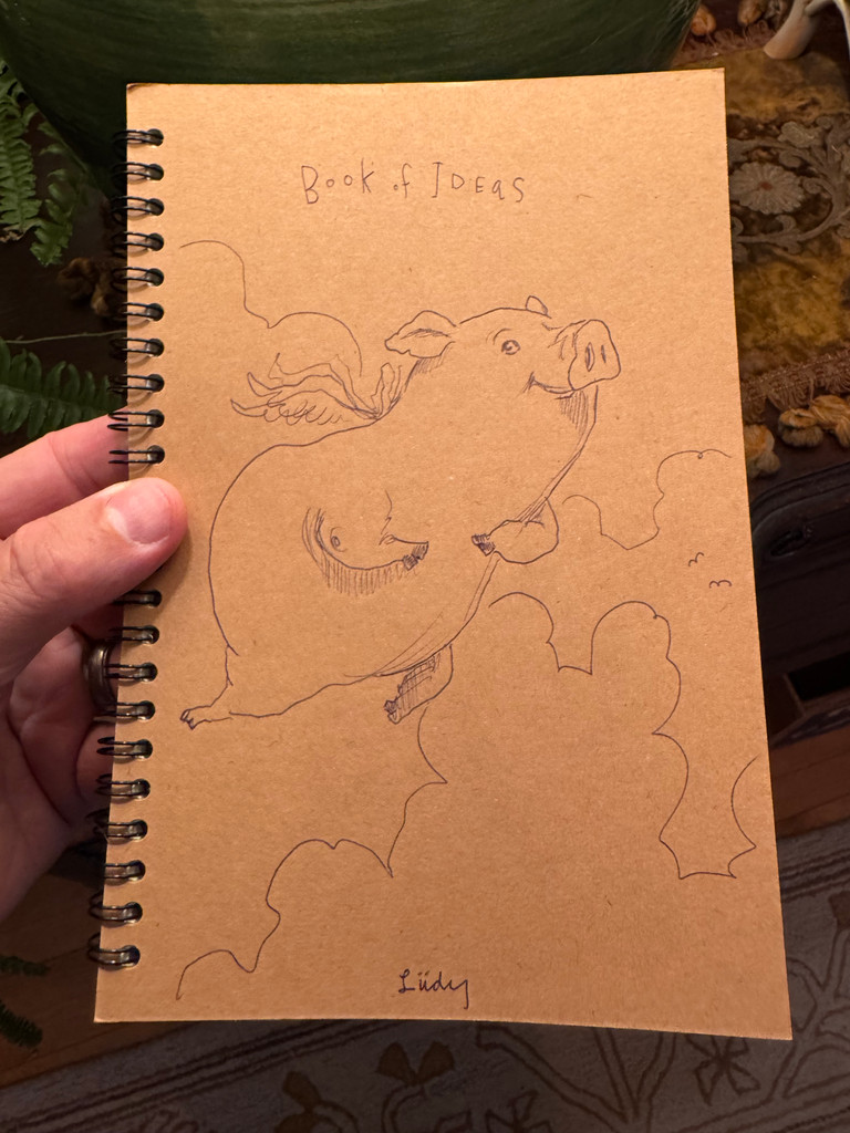 Want me to Draw you a picture? | A Book of Ideas Journal with Original Cover Art