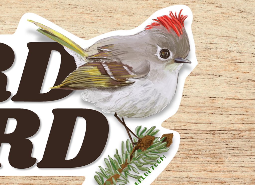 Bird Nerd|  5x3" Sticker