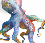 Octopus | The Artwork